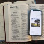 How to read your bible every day